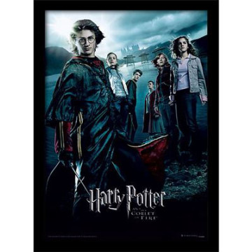 Harry Potter Goblet Of Fire...