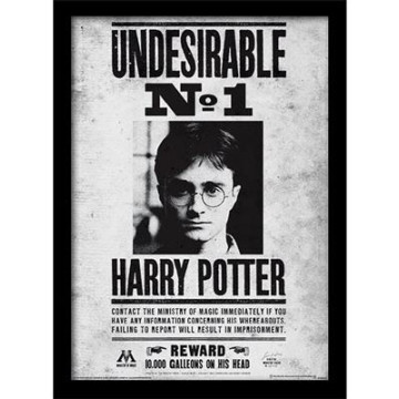 Harry Potter Undesirable No...
