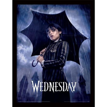 Wednesday Framed Picture